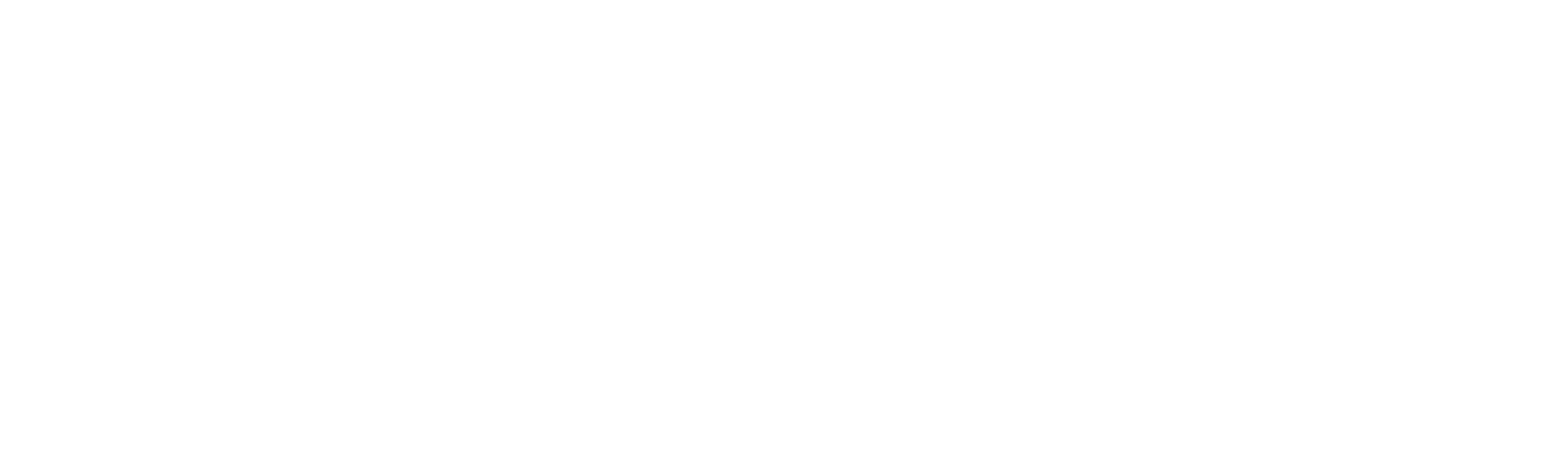 XPulser Full Logo with text in white